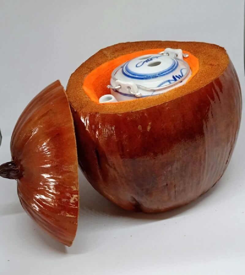 bình giữ nhiệt trái dừa